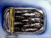 "Sardines Cramped in a Tin"