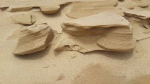 "Sand Forms"