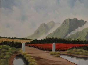 "Vineyards and Fynbos"