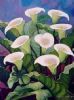 "Arum Lilies 2"