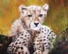 "Cheetah Cub"