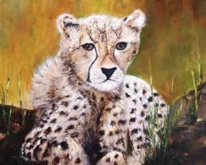 "Cheetah Cub"