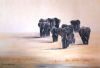 "Elephants Rushing Towards Water"