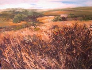 "Landscape near Swellendam 11"