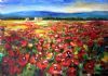 "Poppy Field "