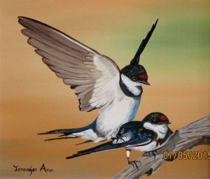 "Love Is in the Air (White Throated Swallows)"