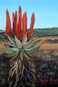 "Aloe"