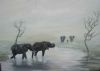 "Elephants Zimbabwe. Giclee Print"