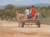 "Donkiekar Donkey Cart Karoo"