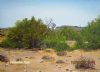 "Distant Windmill Nuweveld Loop Karoo"