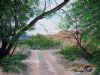 "The Road Karoo"