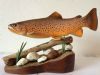 "Male Brown Trout"
