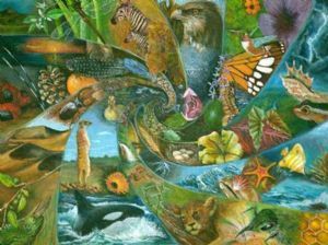 "The Magnitude and Multitude of Creation"