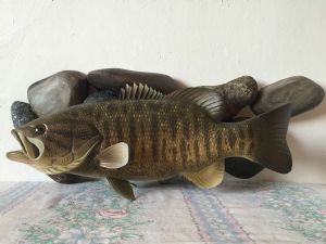 "Smallmouth Bass Over River Rocks"