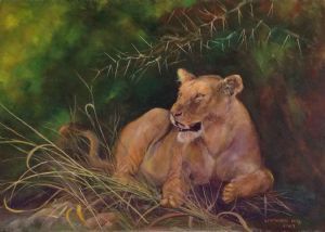 "Mana Pools Lioness"