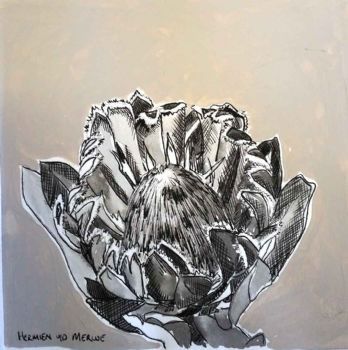 "Table Mountain Fynbos 7"