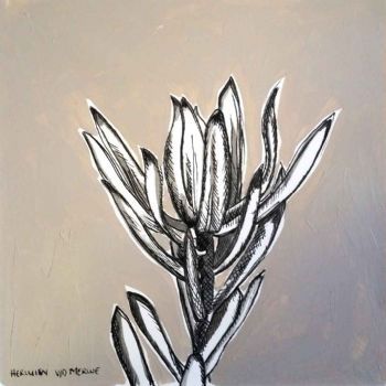 "Table Mountain Fynbos 8"