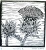 "Artichoke III Black and White"