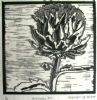 "Artichoke IV Black and White"