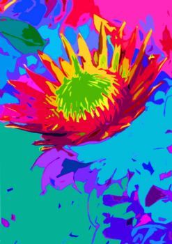 "Protea Flower 1 series 3A - Set 1 of 3"