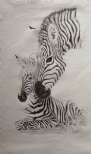 "Zebra"