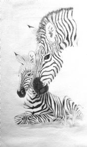 "Zebra"