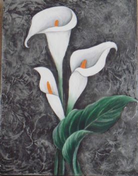 "White Arum Lilies"