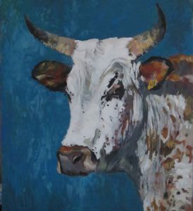 "Nguni Bull "