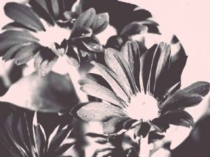 "Fading"