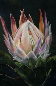 "Protea"