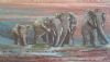 "The Dusty Elephants"