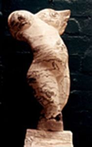 "torso striato"