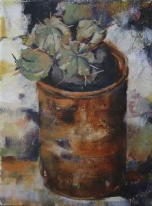 "Succulent in Rusty Tin"