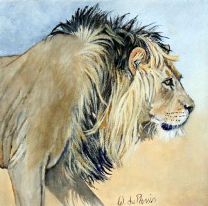"Lion Study"