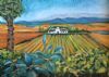 "Wine Farm in Montague"