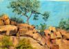 "Tree Growing in the Rocks/Madekwe"