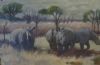 "Rhino in the Bush            "