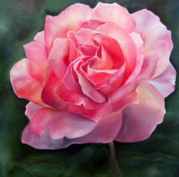 "Pink Rose"