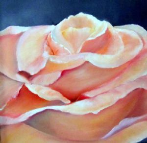 "Peach Rose"