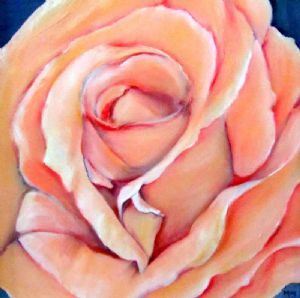 "Peach Rose"