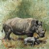 "Rhino"