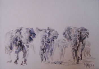 "Elephants  "