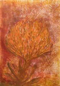 "Pin Protea"