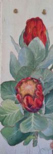 "Proteas"