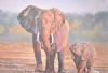 "Mother Elephant with Her Calf"