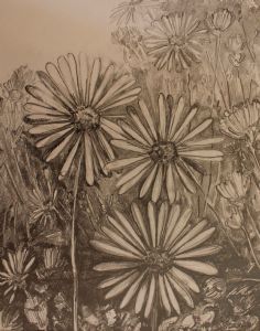 "Daisies"