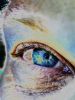 "Window to the Soul"