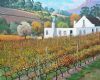 "Vineyards and Farm House Stellenbosch"