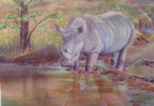 "The Last Rhino"