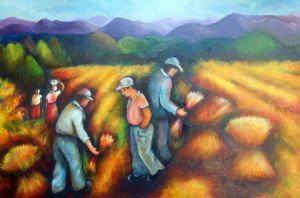 "Harvesting the Fields"